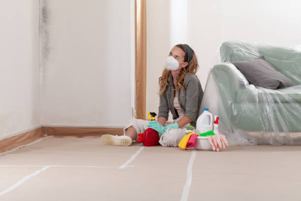 Reliable Black Mold Remediation contractor in Jordan, MN by Mold Remediation HQ